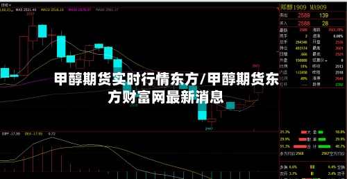 甲醇期货实时行情东方/甲醇期货东方财富网最新消息-第2张图片