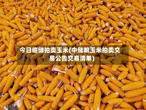 今日临储拍卖玉米(中储粮玉米拍卖交易公告交易清单)