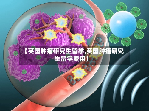 【英国肿瘤研究生留学,英国肿瘤研究生留学费用】-第2张图片