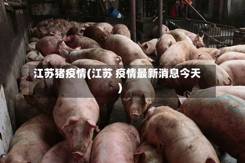 江苏猪疫情(江苏 疫情最新消息今天)-第2张图片