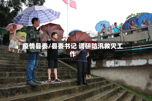 疫情县委/县委书记 调研防汛救灾工作