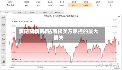 认沽期权费用
反向变动/认沽期权买方承担的最大损失-第2张图片