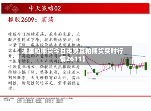 近来
【豆粕期货今日走势豆粕期货实时行情2611】-第3张图片