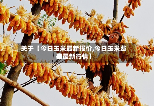 关于【今日玉米最新报价,今日玉米费用
表最新行情】-第2张图片