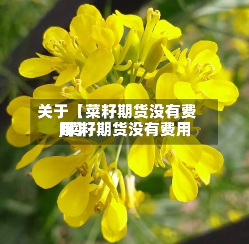 关于【菜籽期货没有费用,菜籽期货没有费用吗】-第2张图片