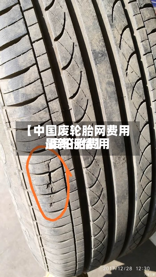 【中国废轮胎网费用
,废轮胎费用
最新行情】-第2张图片