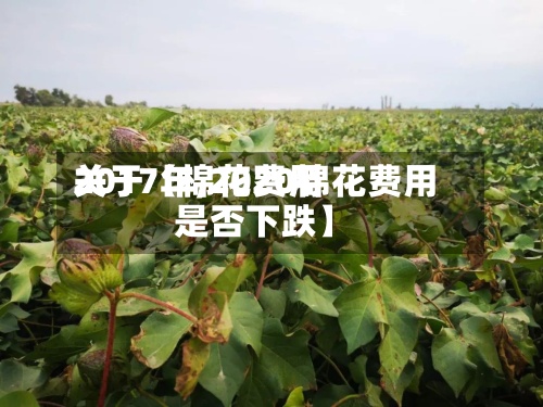 关于【棉花费用2017年,2020棉花费用是否下跌】