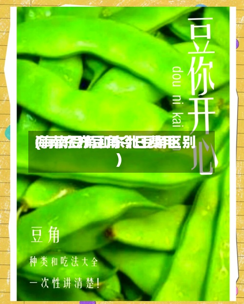 海南东方豆角今日费用(海南豆角和东北豆角区别)