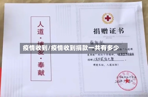 疫情收到/疫情收到捐款一共有多少-第3张图片