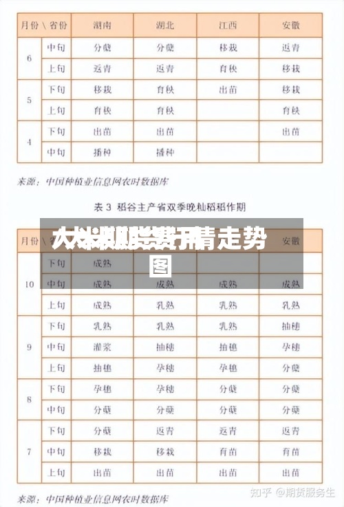 大米期货费用/大米期货行情走势图