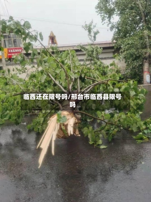 临西还在限号吗/邢台市临西县限号吗