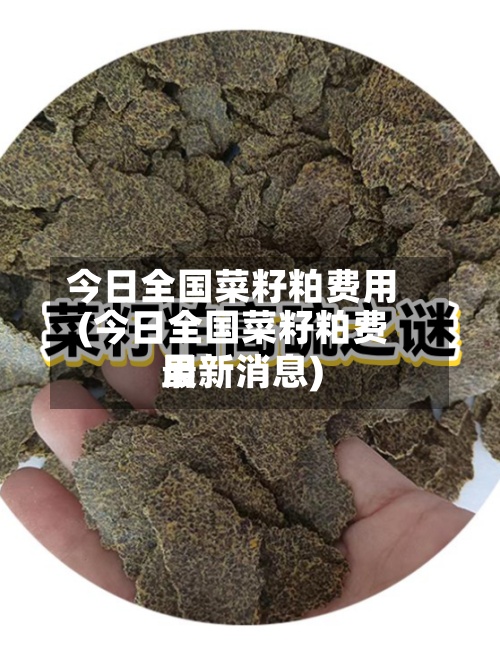 今日全国菜籽粕费用(今日全国菜籽粕费用最新消息)