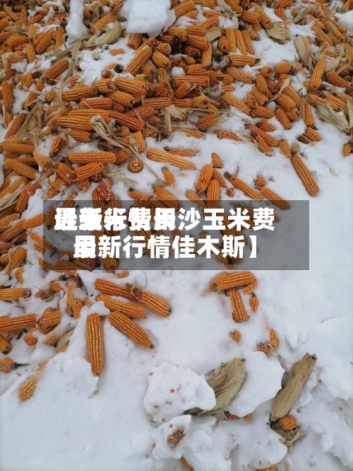 近来【玉米费用最新行情长沙玉米费用最新行情佳木斯】