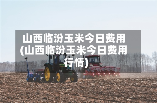 山西临汾玉米今日费用(山西临汾玉米今日费用行情)-第2张图片
