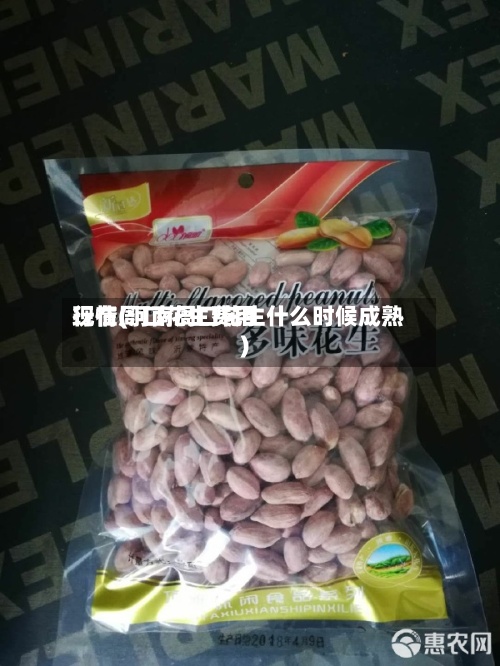 现在周口花生费用行情(河南周口花生什么时候成熟)-第2张图片