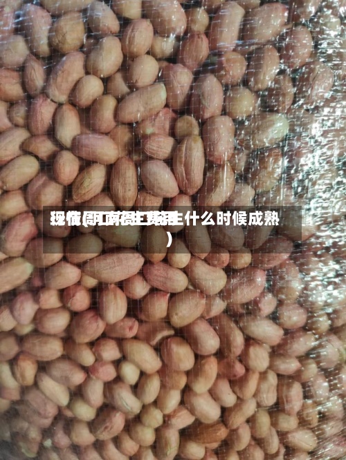 现在周口花生费用行情(河南周口花生什么时候成熟)