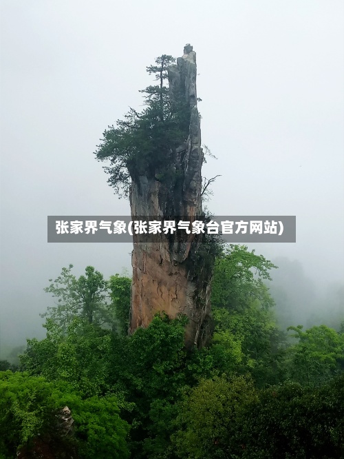 张家界气象(张家界气象台官方网站)