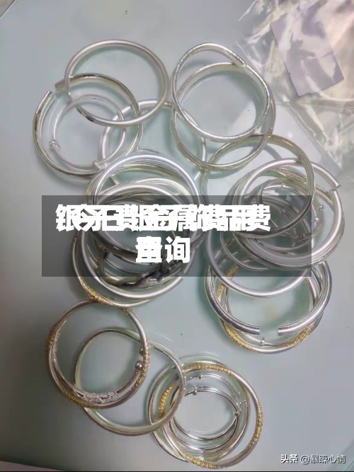 银子贵金属费用
/今日银子饰品费用
查询-第3张图片