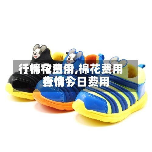 【棉花费用行情今日价,棉花费用行情今日费用查询】