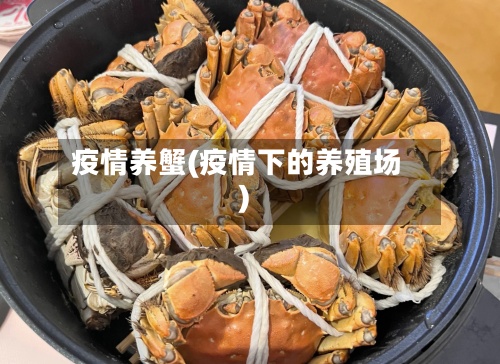 疫情养蟹(疫情下的养殖场)-第2张图片
