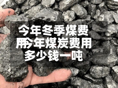 今年冬季煤费用/今年煤炭费用多少钱一吨