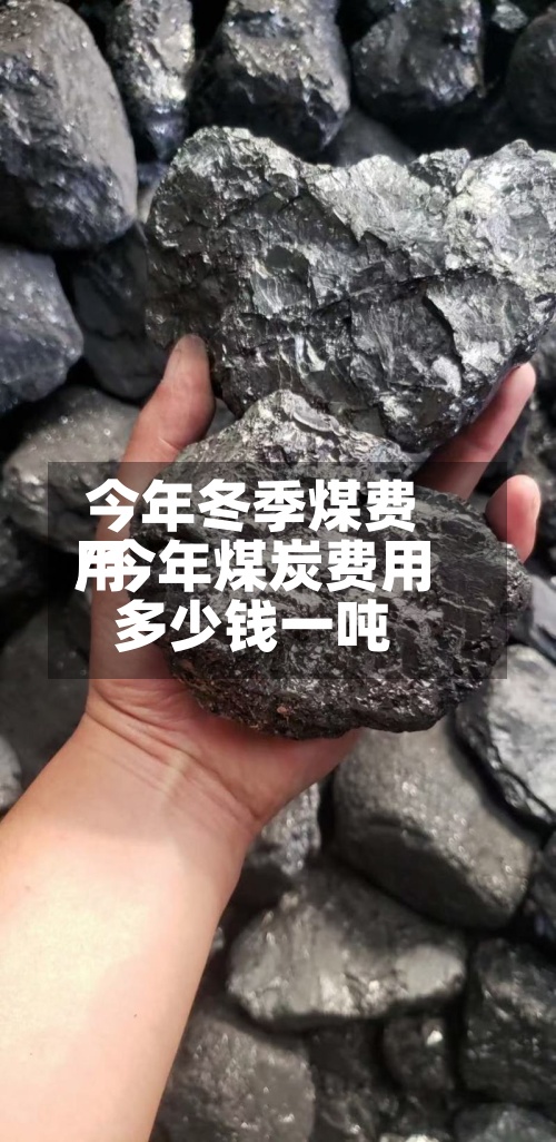 今年冬季煤费用
/今年煤炭费用
多少钱一吨-第2张图片