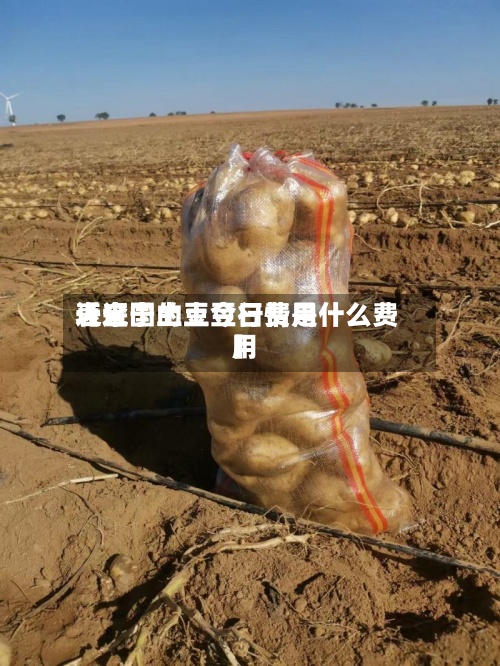 近来【辽宁土豆今日费用表全国的土豆行情是什么费用】