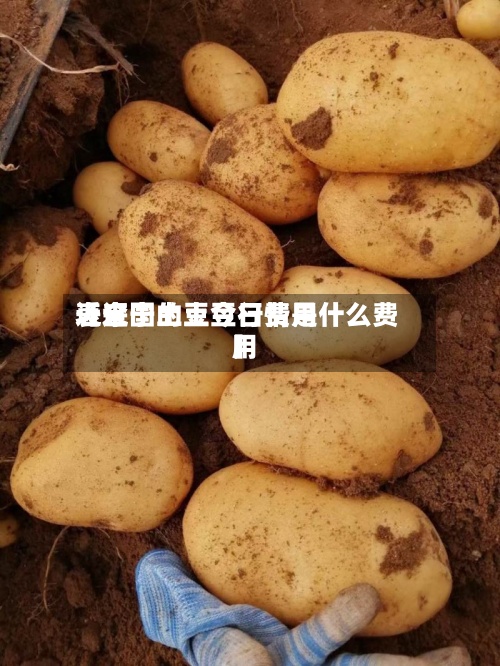近来
【辽宁土豆今日费用
表全国的土豆行情是什么费用
】-第3张图片