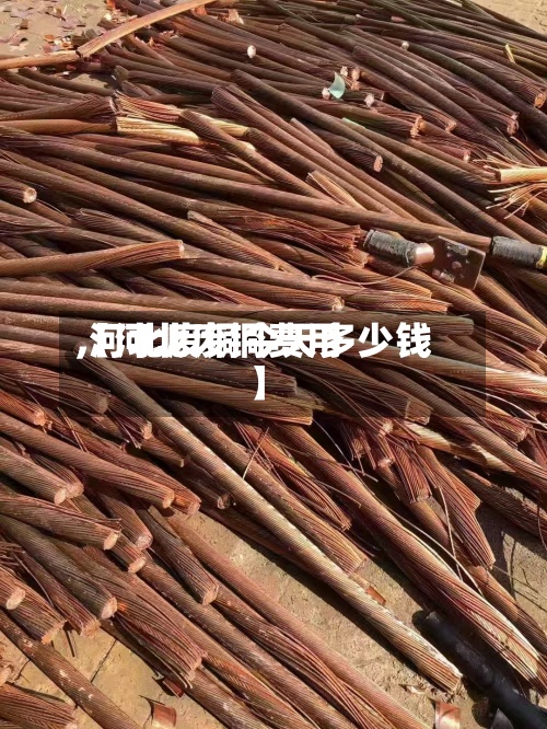 【河北废铜费用,河北废铜今天多少钱】-第3张图片