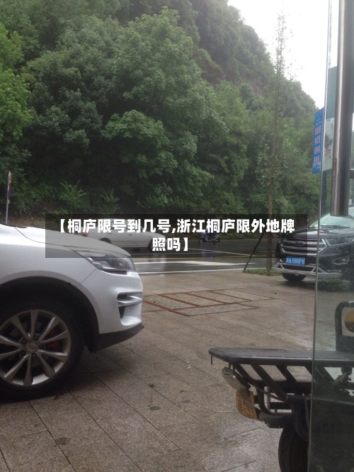 【桐庐限号到几号,浙江桐庐限外地牌照吗】-第3张图片