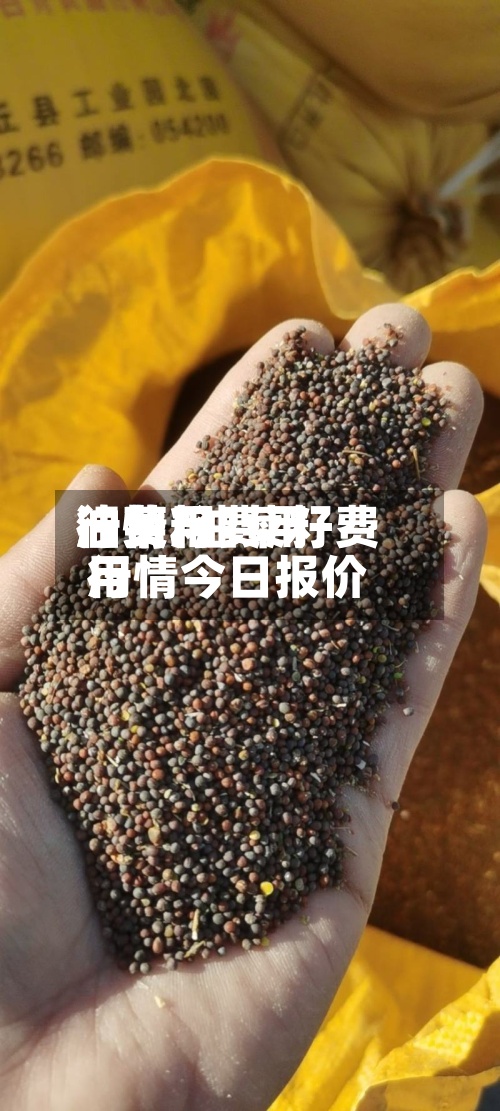 油菜籽费用油费用行情/油菜籽费用行情今日报价-第2张图片
