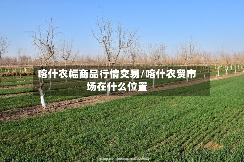 喀什农幅商品行情交易/喀什农贸市场在什么位置-第2张图片