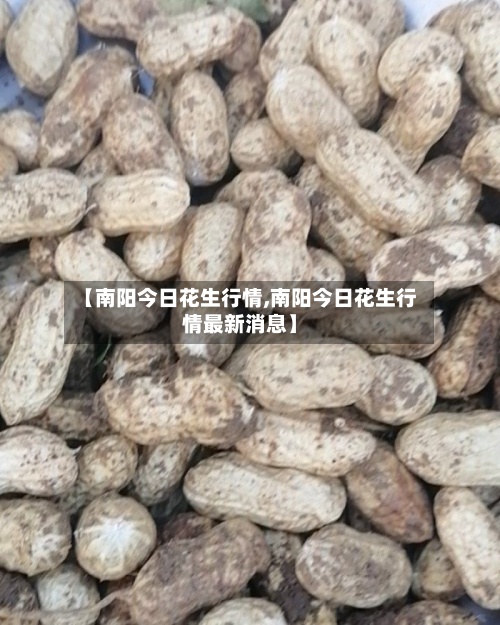 【南阳今日花生行情,南阳今日花生行情最新消息】