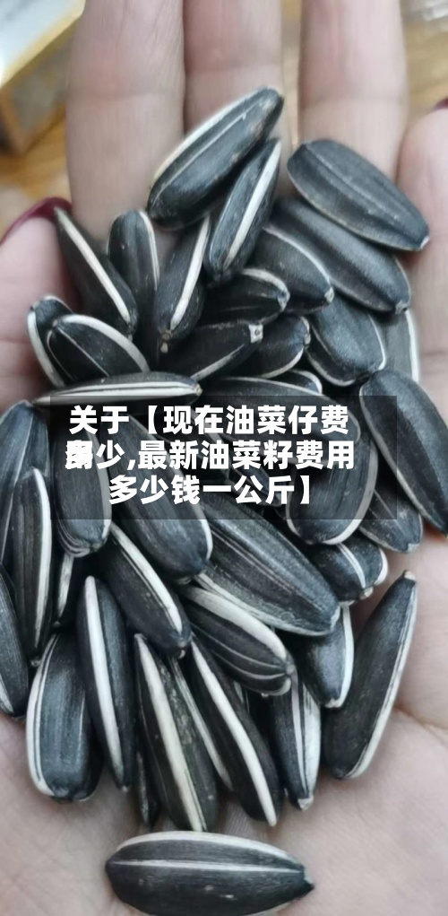 关于【现在油菜仔费用多少,最新油菜籽费用多少钱一公斤】
