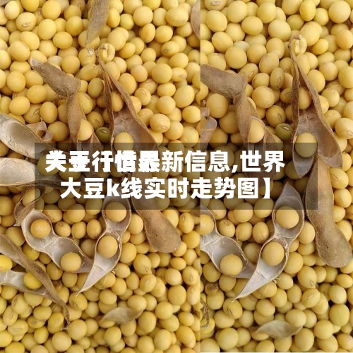 关于【世界大豆行情最新信息,世界大豆k线实时走势图】