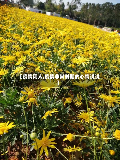 【疫情闲人,疫情非常时期的心情说说】