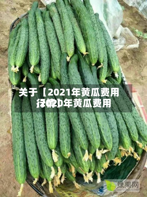 关于【2021年黄瓜费用
,2020年黄瓜费用
行情】-第2张图片