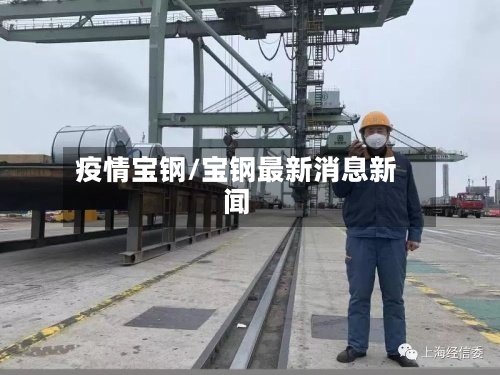 疫情宝钢/宝钢最新消息新闻-第3张图片