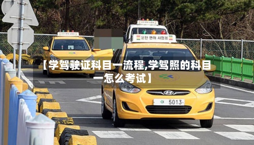 【学驾驶证科目一流程,学驾照的科目一怎么考试】
