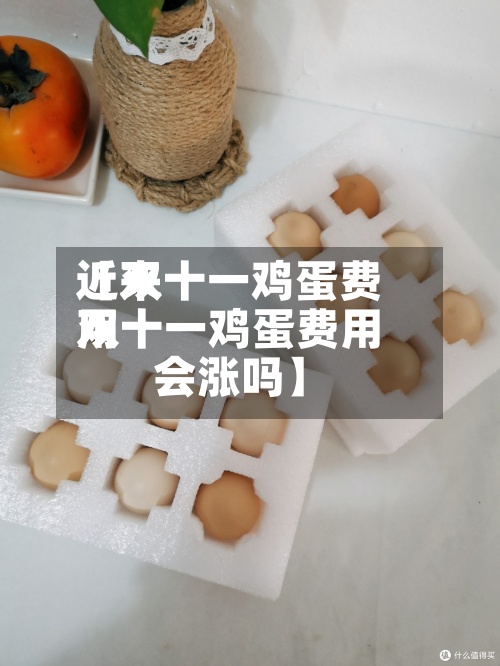 近来【双十一鸡蛋费用双十一鸡蛋费用会涨吗】