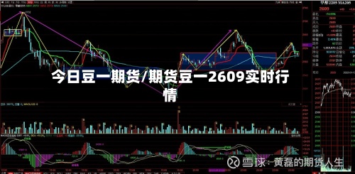 今日豆一期货/期货豆一2609实时行情
