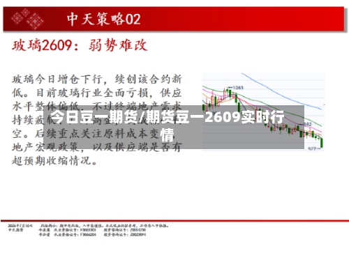 今日豆一期货/期货豆一2609实时行情-第2张图片