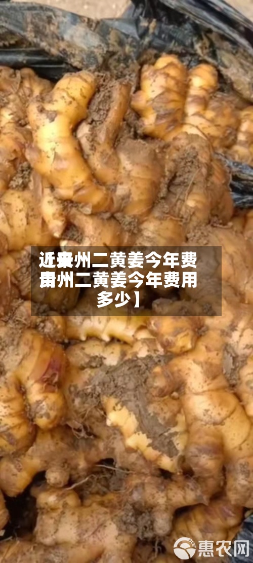 近来【贵州二黄姜今年费用贵州二黄姜今年费用多少】