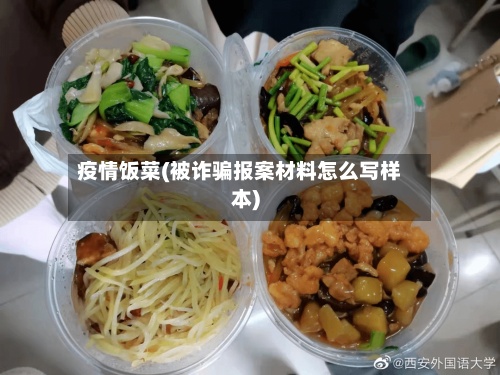 疫情饭菜(被诈骗报案材料怎么写样本)-第3张图片