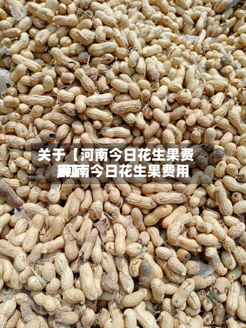关于【河南今日花生果费用
,河南今日花生果费用
表】-第3张图片