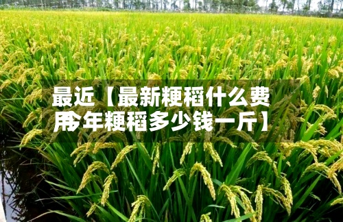最近【最新粳稻什么费用
,今年粳稻多少钱一斤】-第3张图片