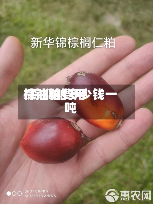 棕油粕费用
/棕榈粕多少钱一吨-第3张图片