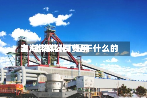 上海焦煤公司费用表/上海焦化厂是干什么的