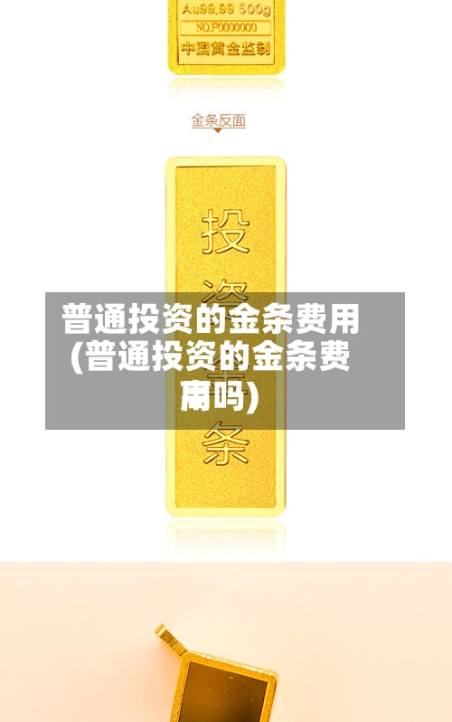 普通投资的金条费用(普通投资的金条费用高吗)