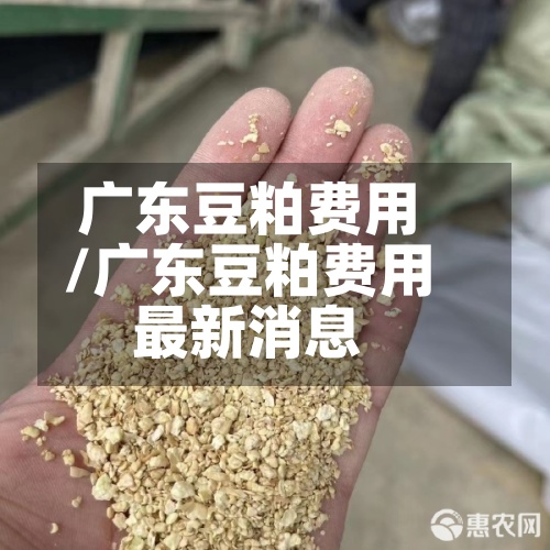 广东豆粕费用/广东豆粕费用最新消息